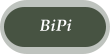 BiPi